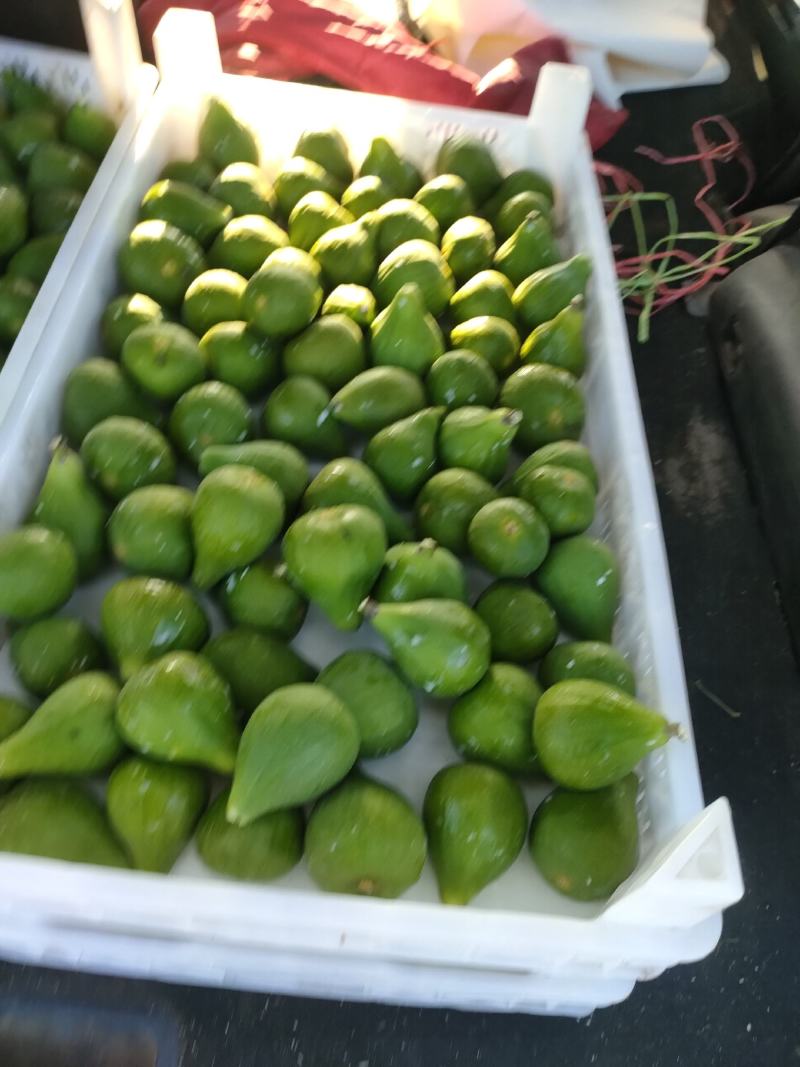 威海青皮无花果秋果上市了寻市场果客户，上下午市场果都有。
