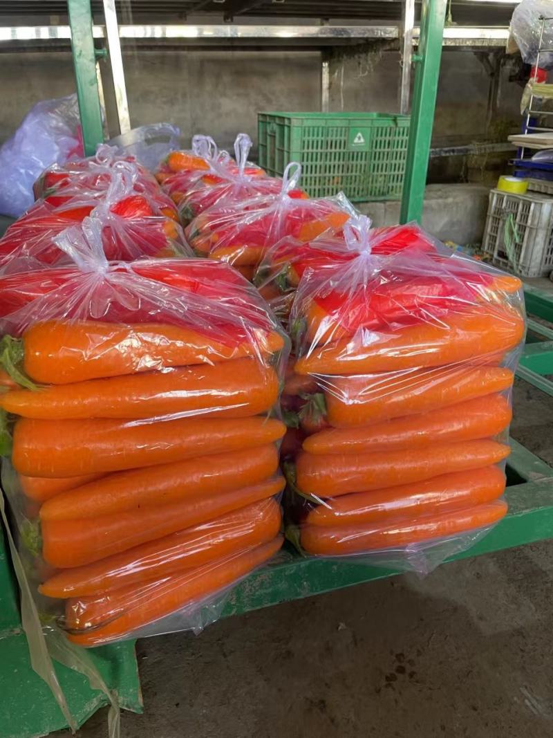 三红胡萝卜产地供货各种规格包装可水洗欢迎客商电话洽谈
