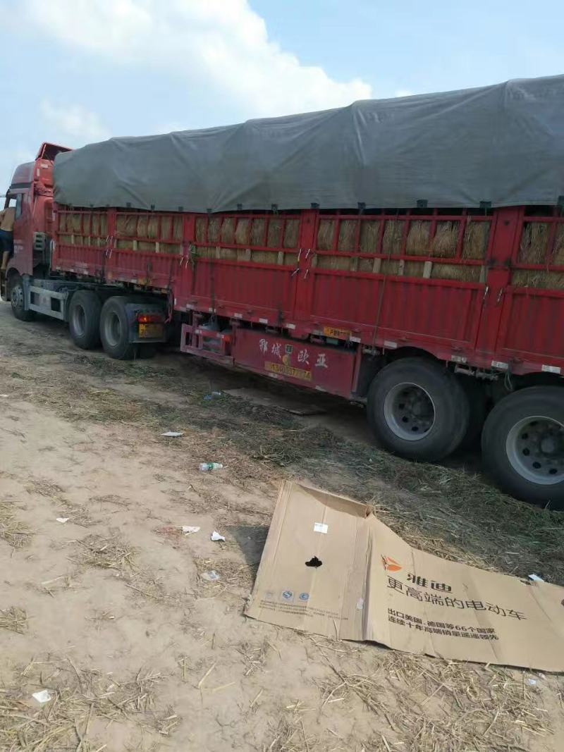美都西瓜产地供货电商品质欢迎客商实地考察看货