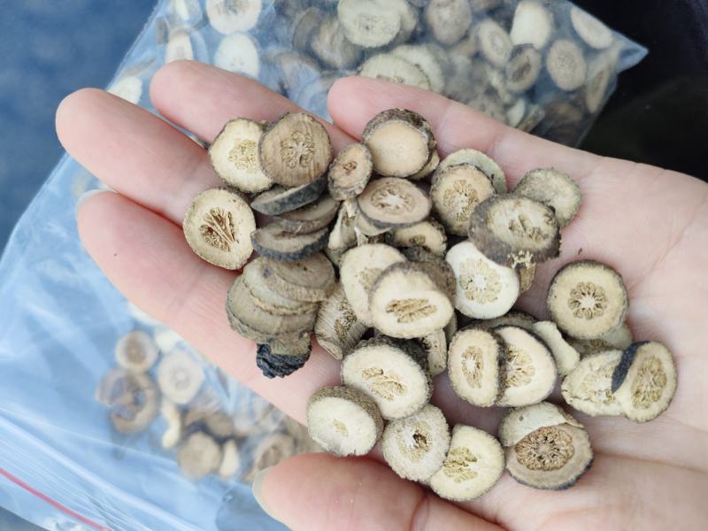 枳实中饮片1.2-1.6规格现货感兴趣欢迎来电联系