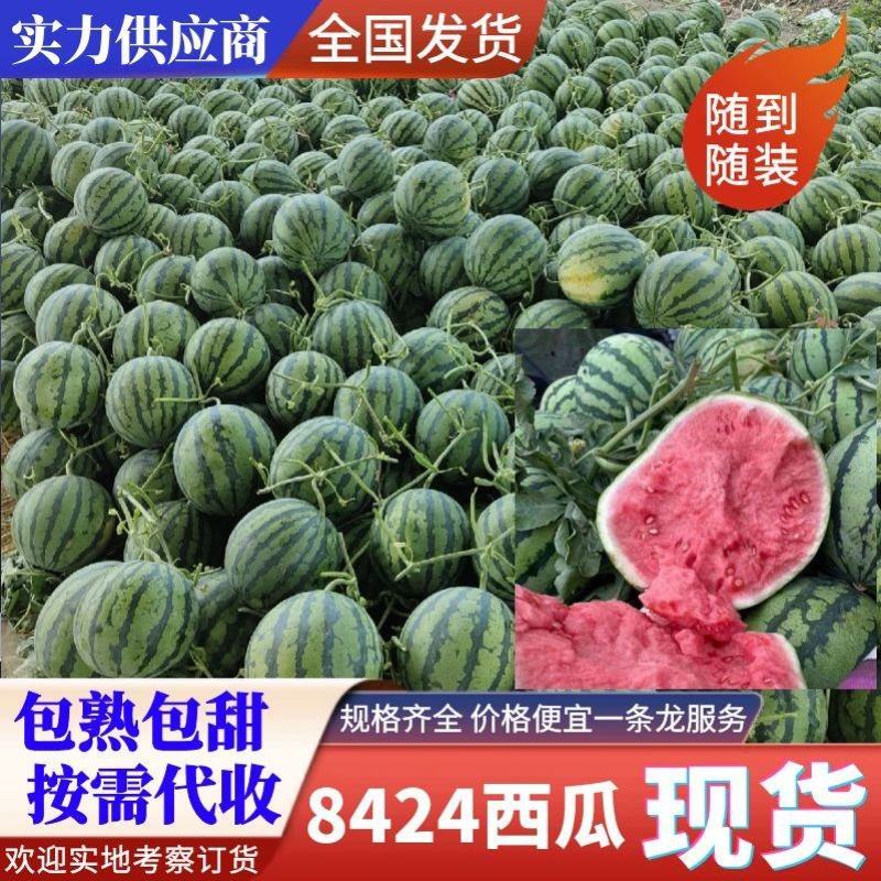 西瓜产地供应，8424西瓜头茬瓜，包熟包甜，一条龙服务