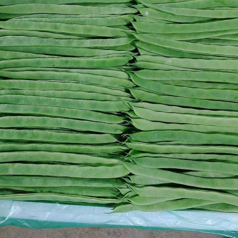 偏豆无筋豆小金豆大量上市需要联系