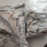 冷冻小白条，饲料鱼，可以喂乌龟，甲鱼，龙鱼，黑鱼等等