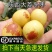 陕西大荔冬枣一件代发