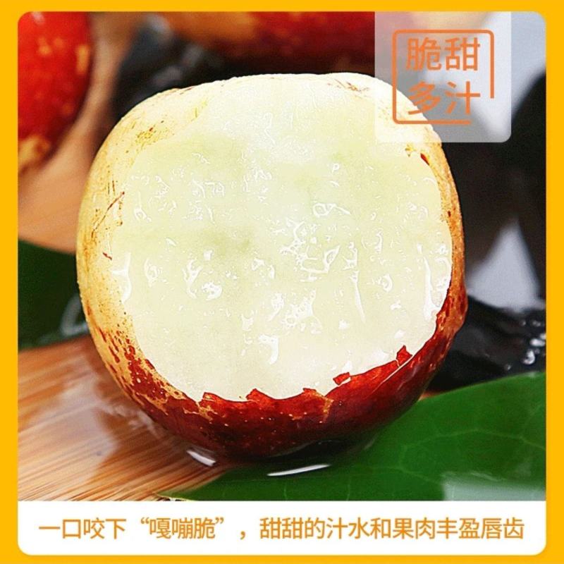 陕西大荔冬枣一件代发