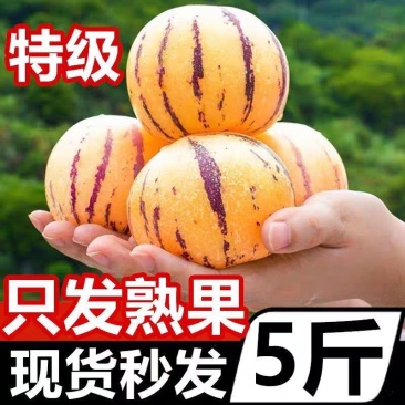 人参果一件代发人参果熟果一件代发承接各种电商直播平台