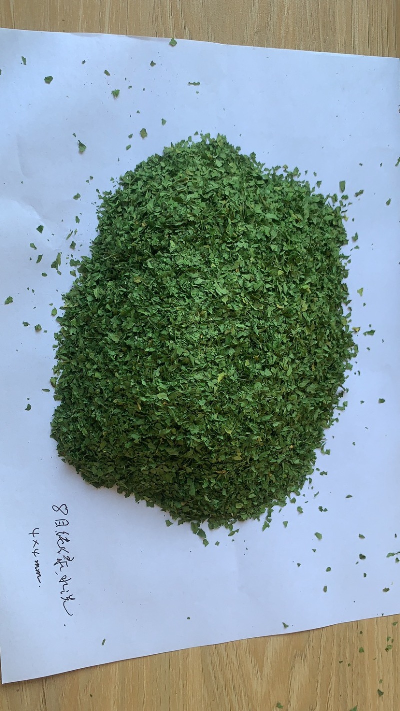 2025年新季AD欧芹，烘干平叶欧芹意大利芹正式开始供应