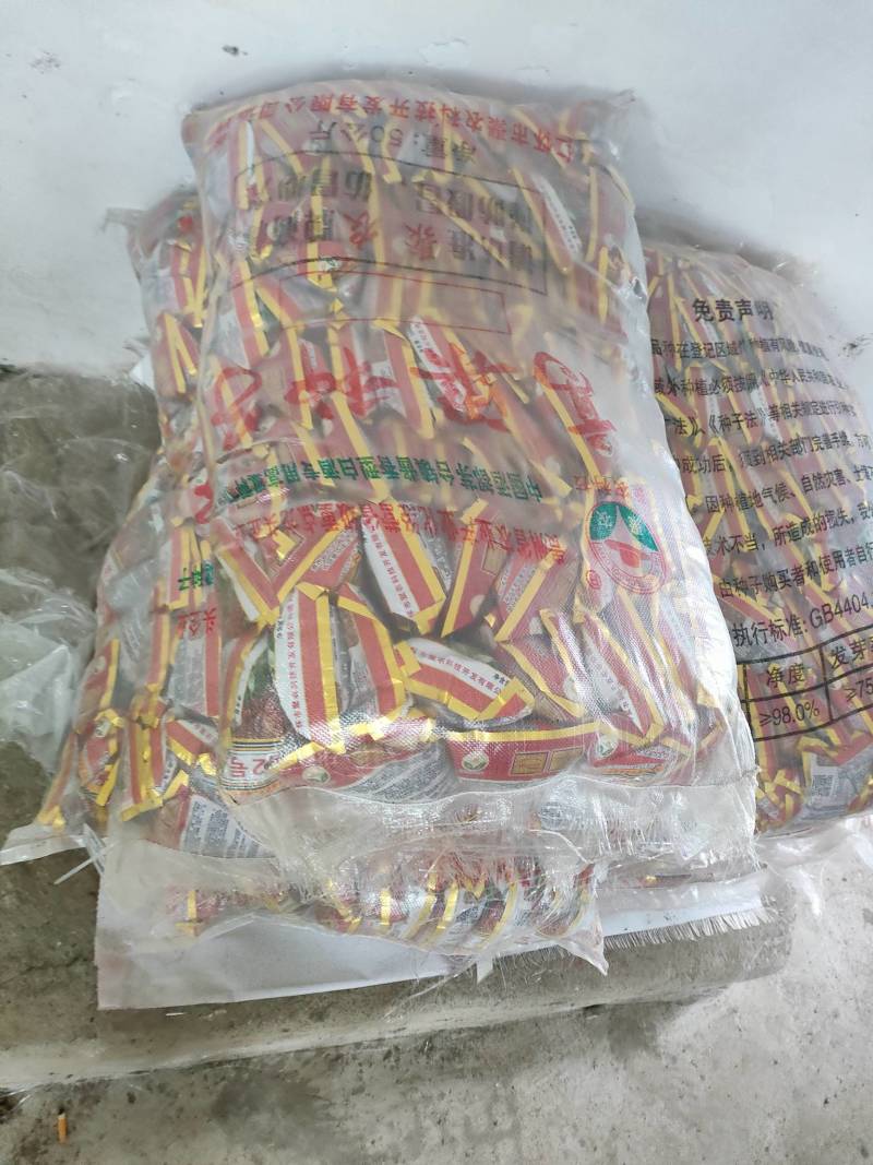 茅梁糥2号高梁种子