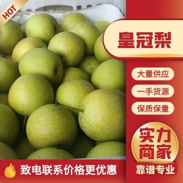 青皇冠梨，皮薄汁多，口感翠甜，欢迎各位老板前来电联