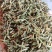 安龙金银花，花蕾，无硫，太阳哂干，颜色好，货量冲足