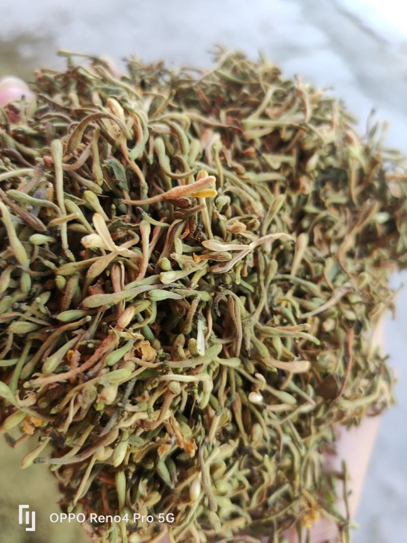 安龙金银花，花蕾，无硫，太阳哂干，颜色好，货量冲足