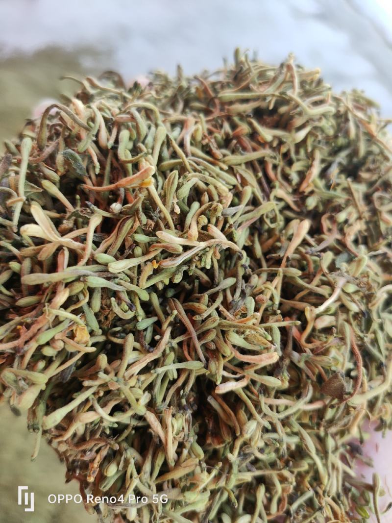 安龙金银花，花蕾，无硫，太阳哂干，颜色好，货量冲足