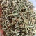 安龙金银花，花蕾，无硫，太阳哂干，颜色好，货量冲足