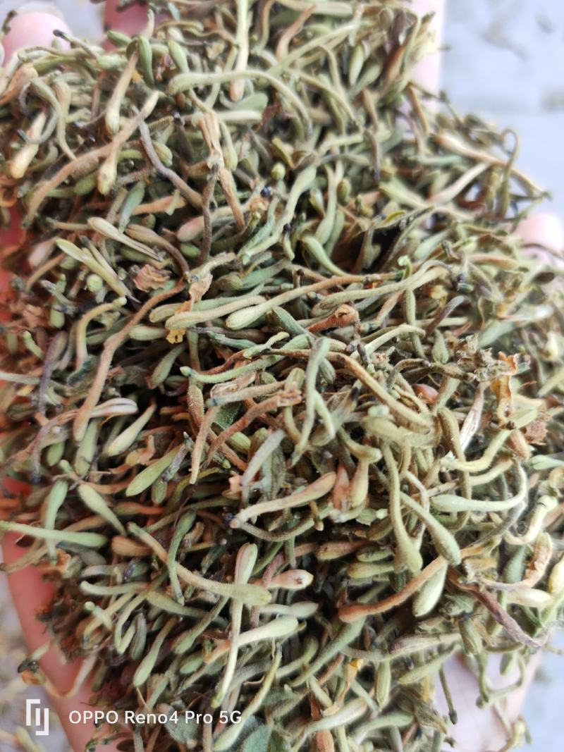 安龙金银花，花蕾，无硫，太阳哂干，颜色好，货量冲足