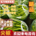 精品尖椒品种都有诚信经营货源充足