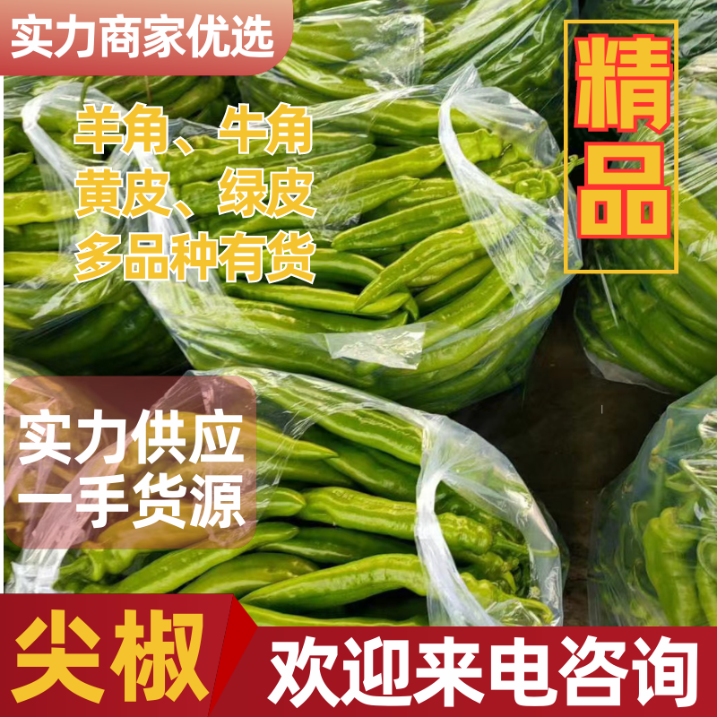精品尖椒品种都有诚信经营货源充足