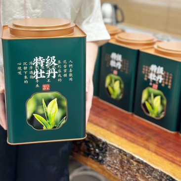 花香白牡丹牡丹王茶叶白茶2023首采嫩芽冰糖甜一芽二叶