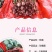 1万棵玫瑰花苗四季开花月季扦插小苗花卉绿化工程苗木花卉