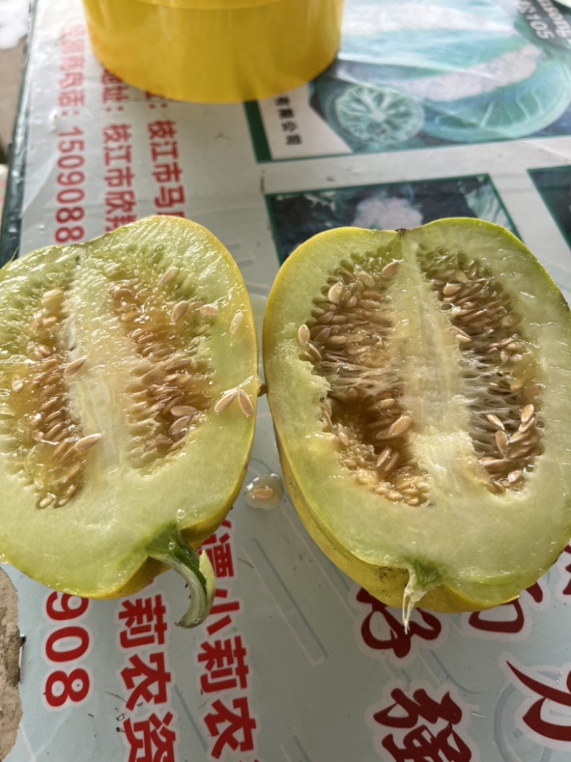 丑八怪甜瓜大量上市中，口感甜，价格便宜