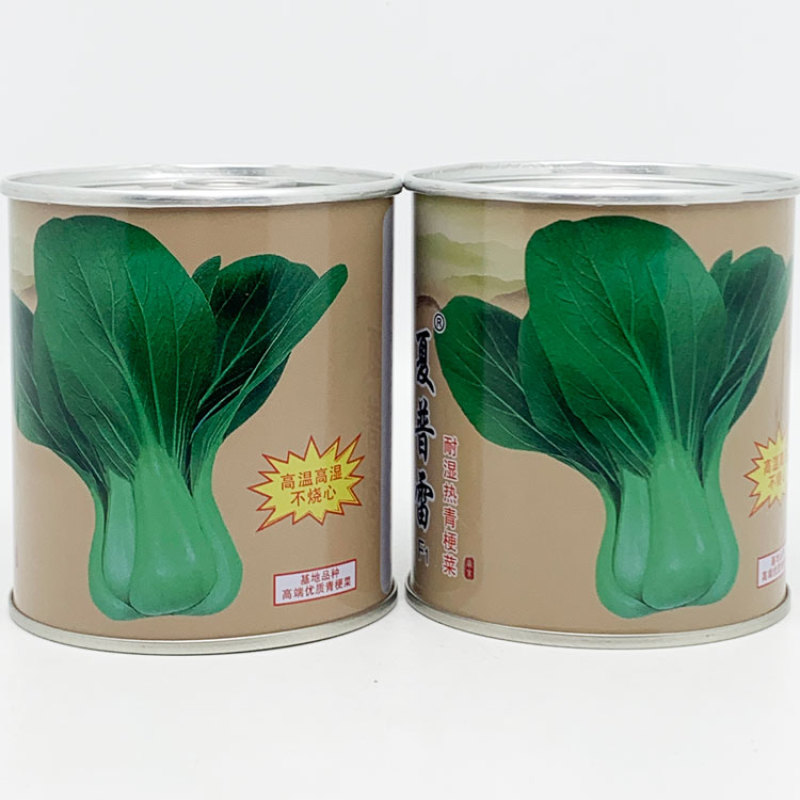 夏普雷长征二号耐热青梗菜种子耐湿不拔节青梗上海青种子原装