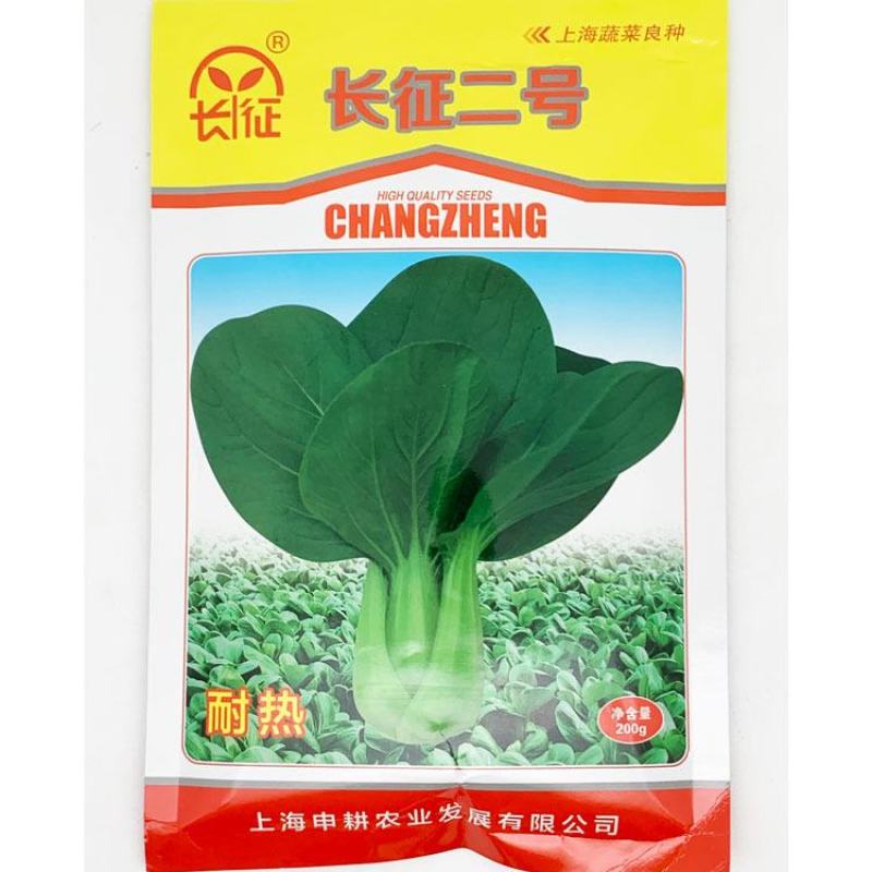 夏普雷长征二号耐热青梗菜种子耐湿不拔节青梗上海青种子原装