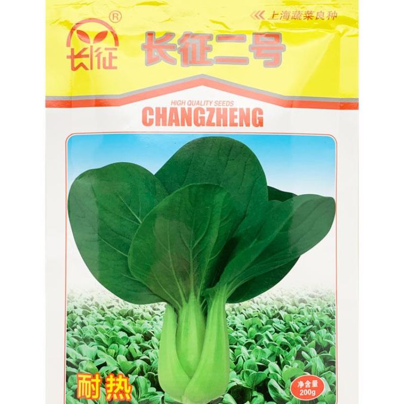 夏普雷长征二号耐热青梗菜种子耐湿不拔节青梗上海青种子原装