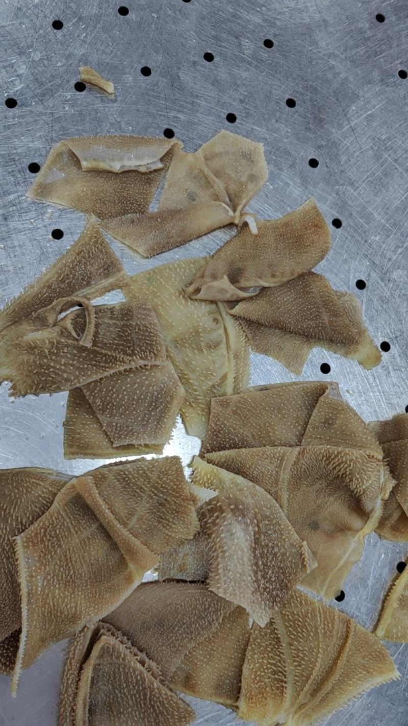 毛肚碎叶片，火锅，自助餐，凉拌，中餐冒菜，性价比超高食材