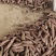 【热卖】陕西大荔板栗红薯，对接各大电商，欢迎联系！量大从