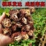5万棵玫瑰花苗四季开花大花云南直发阳台庭院盆栽花卉月季扦