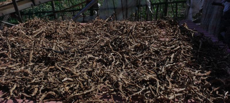 东北纯野生穿山龙（地龙骨）干货