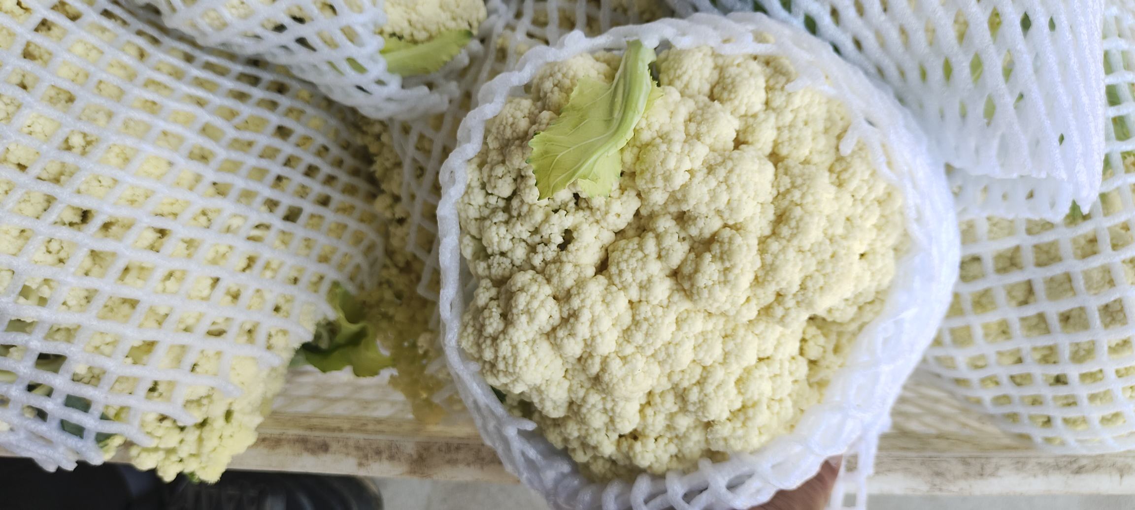 松花菜野菜馅饺子成品