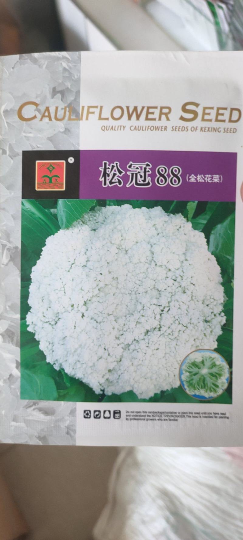 松花菜种子85天成熟青梗抗病