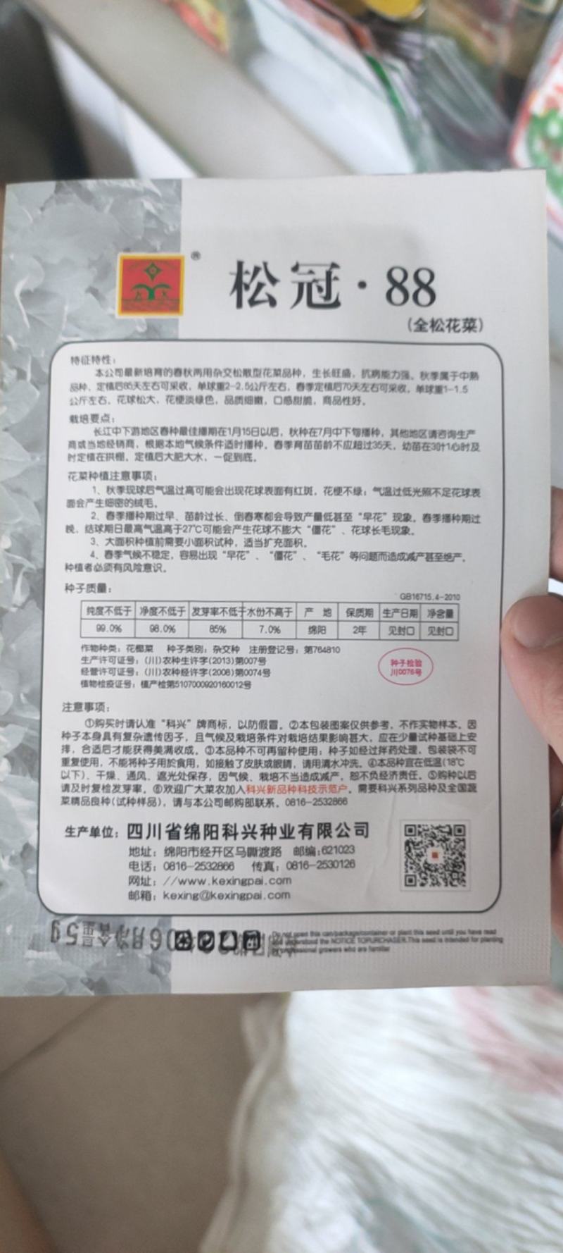 松花菜种子85天成熟青梗抗病