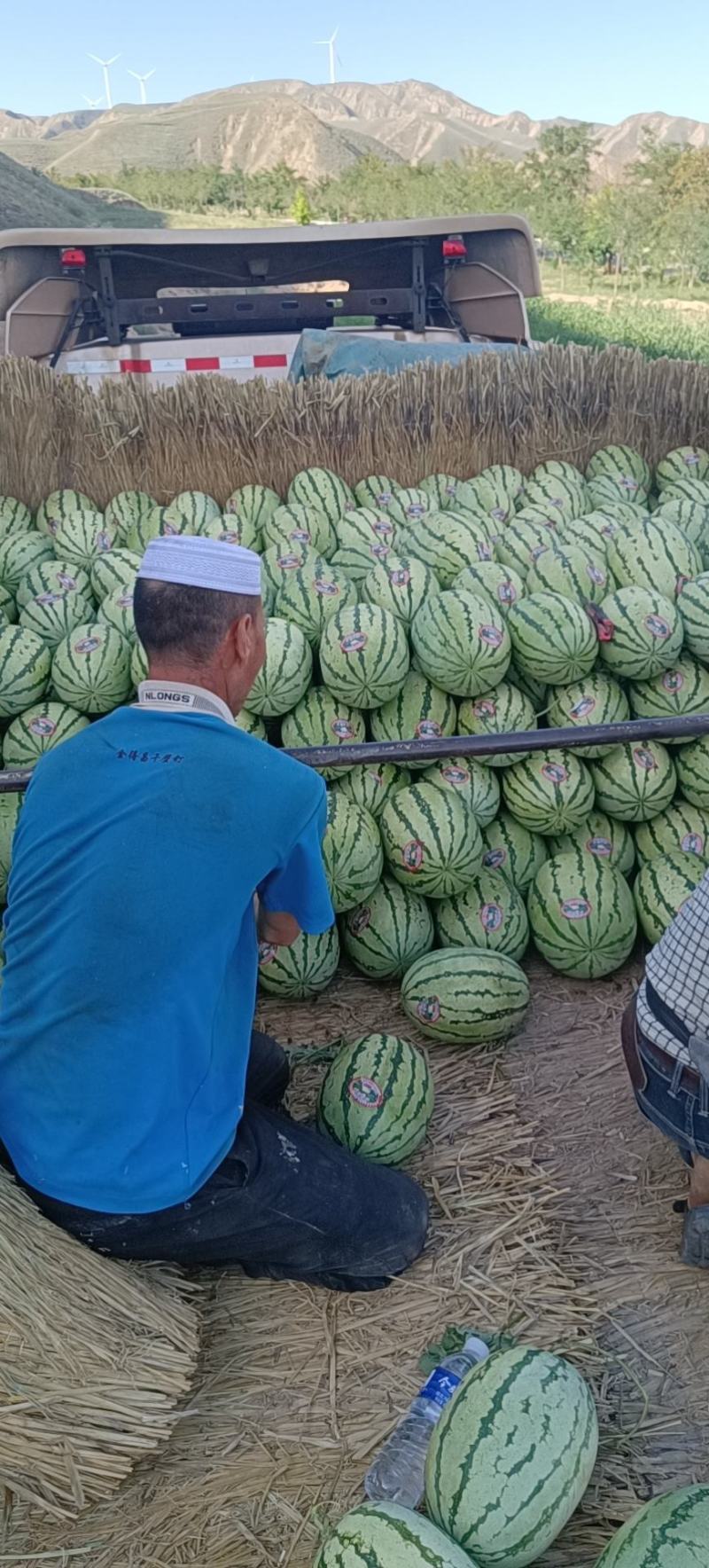 精品硒砂瓜头茬宁夏硒砂瓜产地直供全国发货品质保证