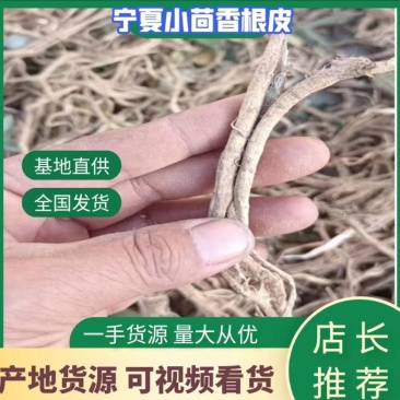 小茴香根皮产地直供价格优惠保质保量一手货源