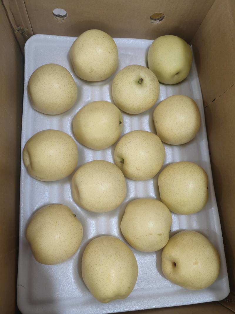 【精品】山东皇冠梨，冠县万亩梨园基地，脆甜多汁欢迎咨询