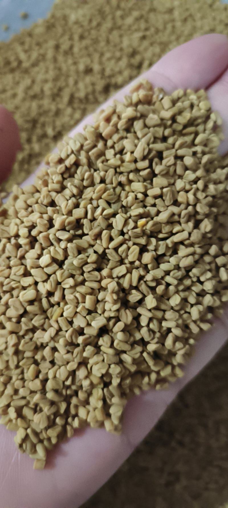 芦巴籽芦巴子葫芦巴子干净无杂质量大从优一手货源