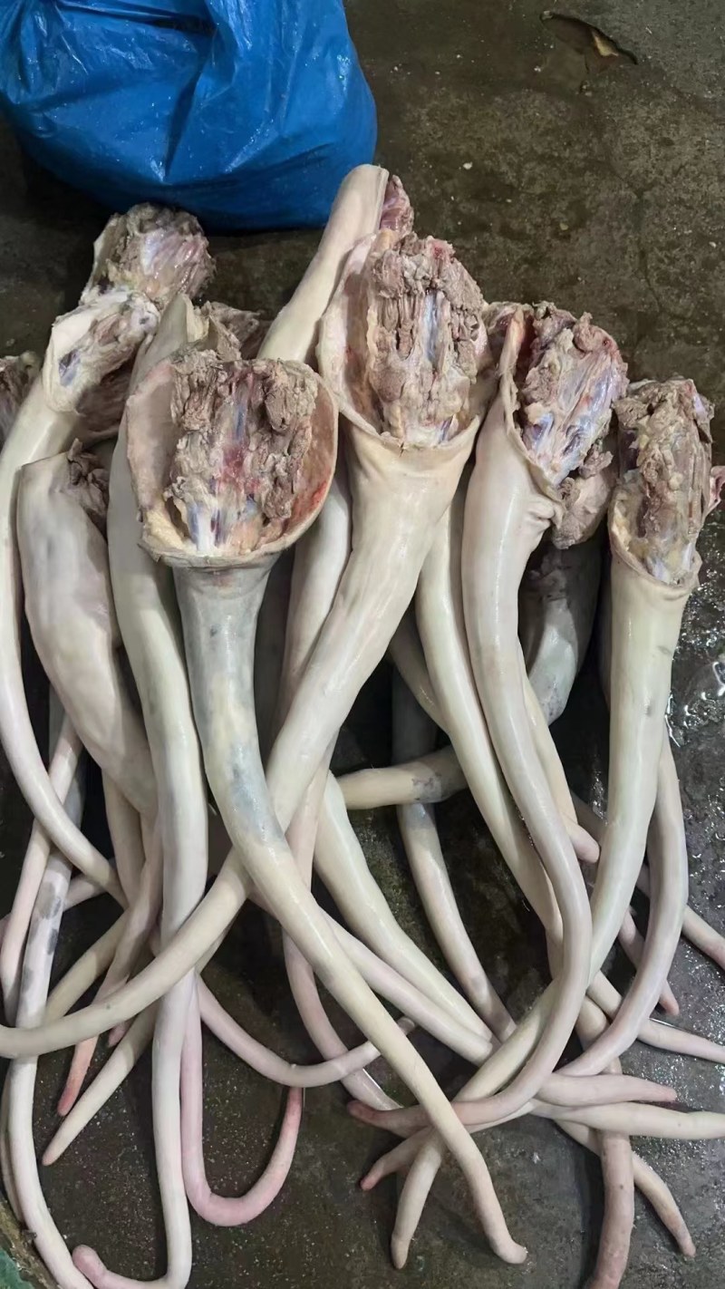 牛尾巴