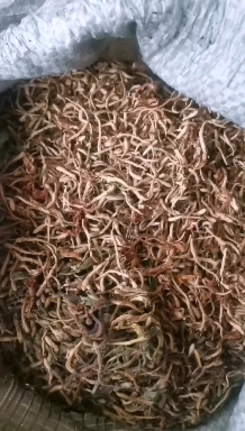 麻城大别山纯野生金银花