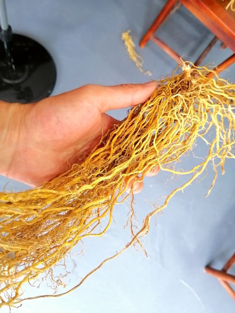 牛尾菜野生牛尾菜足干色泽好无添加煲汤食材