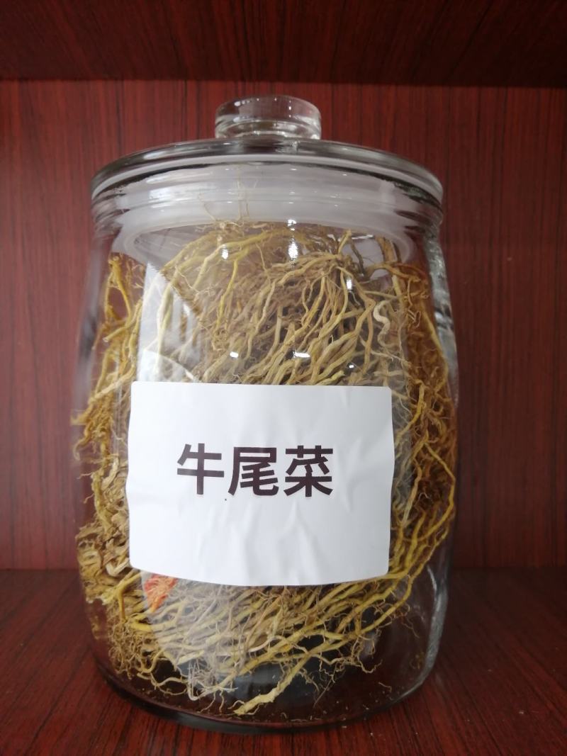 牛尾菜野生牛尾菜足干色泽好无添加煲汤食材