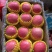 【山区红富士苹果】产地批发一手货源保质保量坏烂包赔