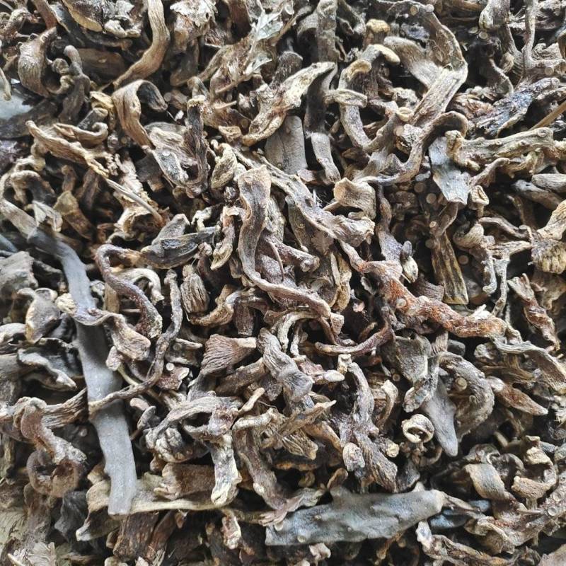 骨碎补