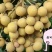 海南石硖龙眼