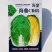 海鼎cr65黄心大白菜种子抗根肿病春秋两用直筒型合抱帮薄
