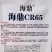 海鼎cr65黄心大白菜种子抗根肿病春秋两用直筒型合抱帮薄