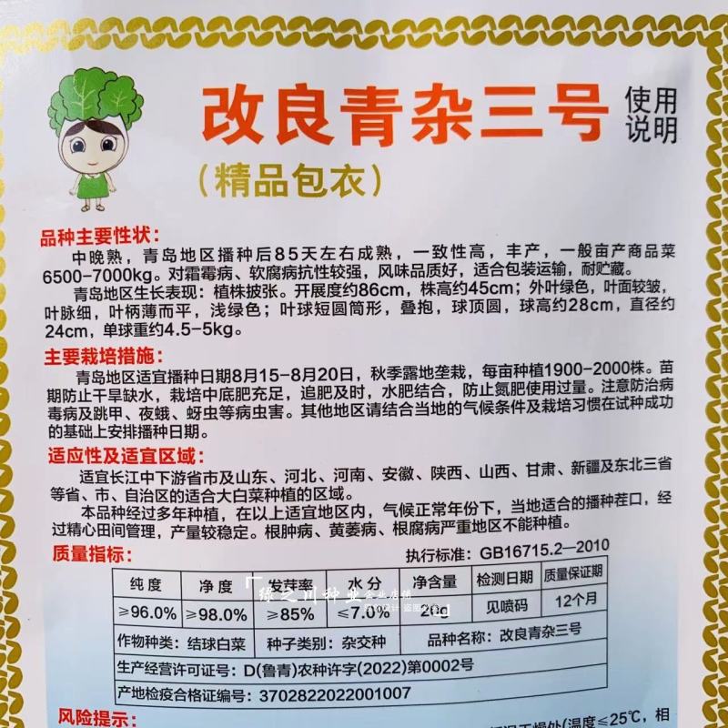 带包衣白菜种子海鼎改良青杂三号大白菜种子蔬菜基地专用
