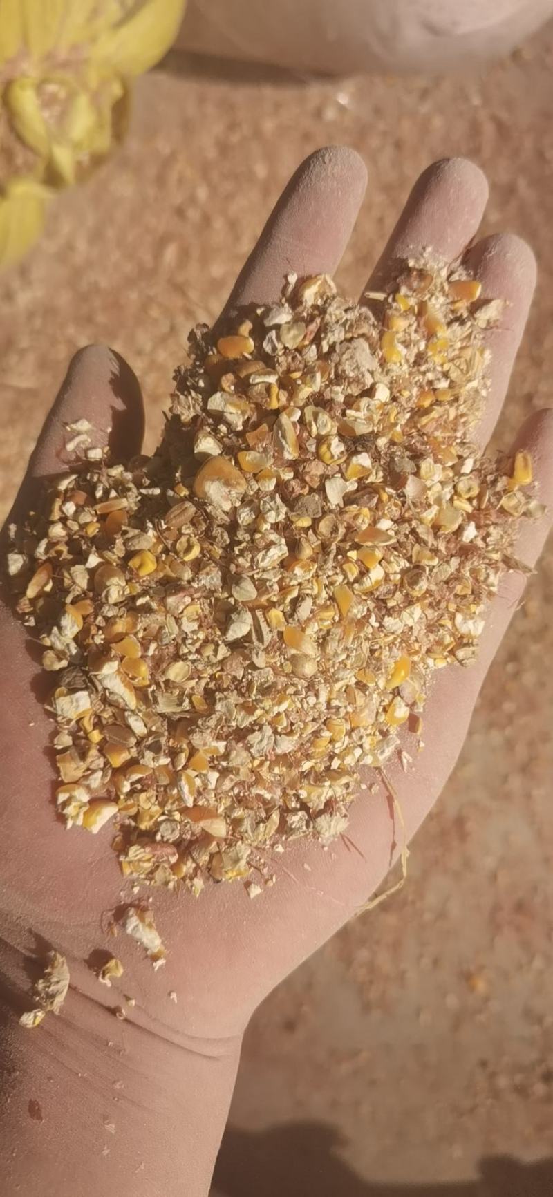 碎玉米，厂家一手货源供应，支持上门送提货。