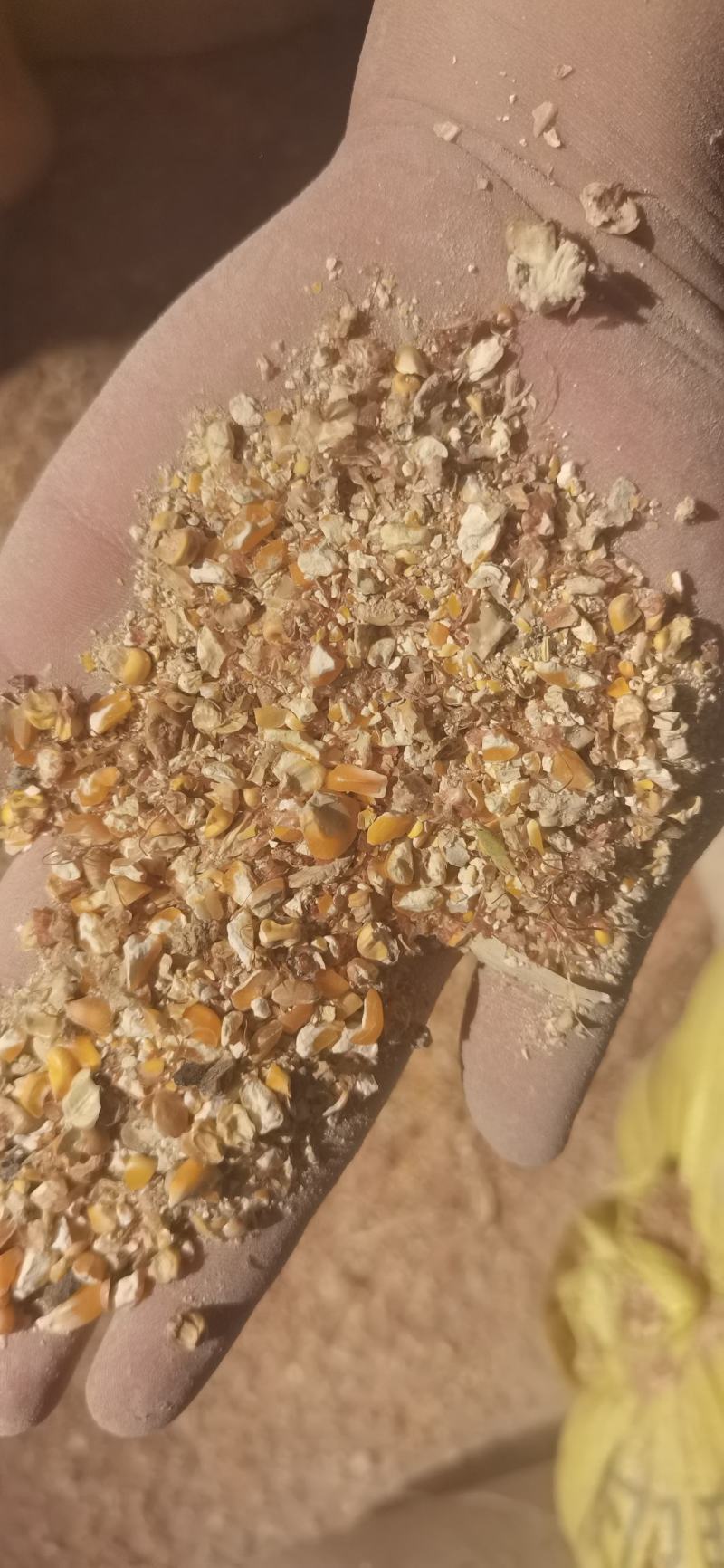 碎玉米，厂家一手货源供应，支持上门送提货。