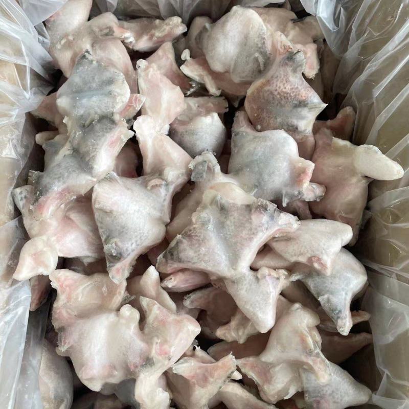 福建泉州鲷鱼下吧大量有货可视频看货量大从优